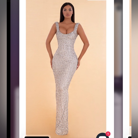 Albina Dyla. Crystal Silver Floor Length Statement Dress. - Picture 1 of 5